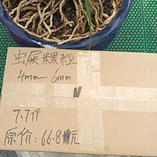 用***6兰菌黑山土虫屎颗粒7.7斤