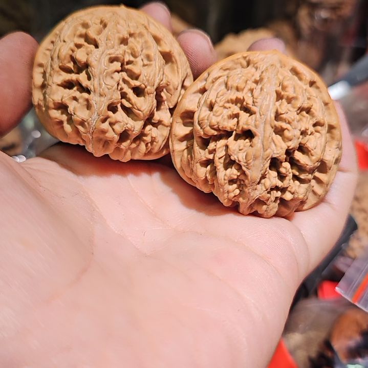 文玩核桃吊坠43粗筋