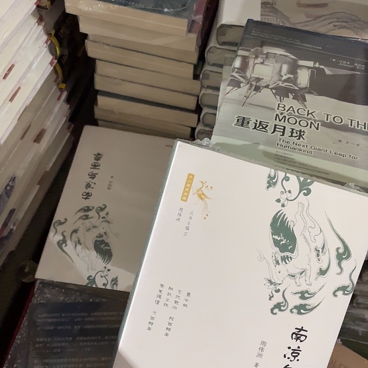 南凉与西秦微瑕微瑕3