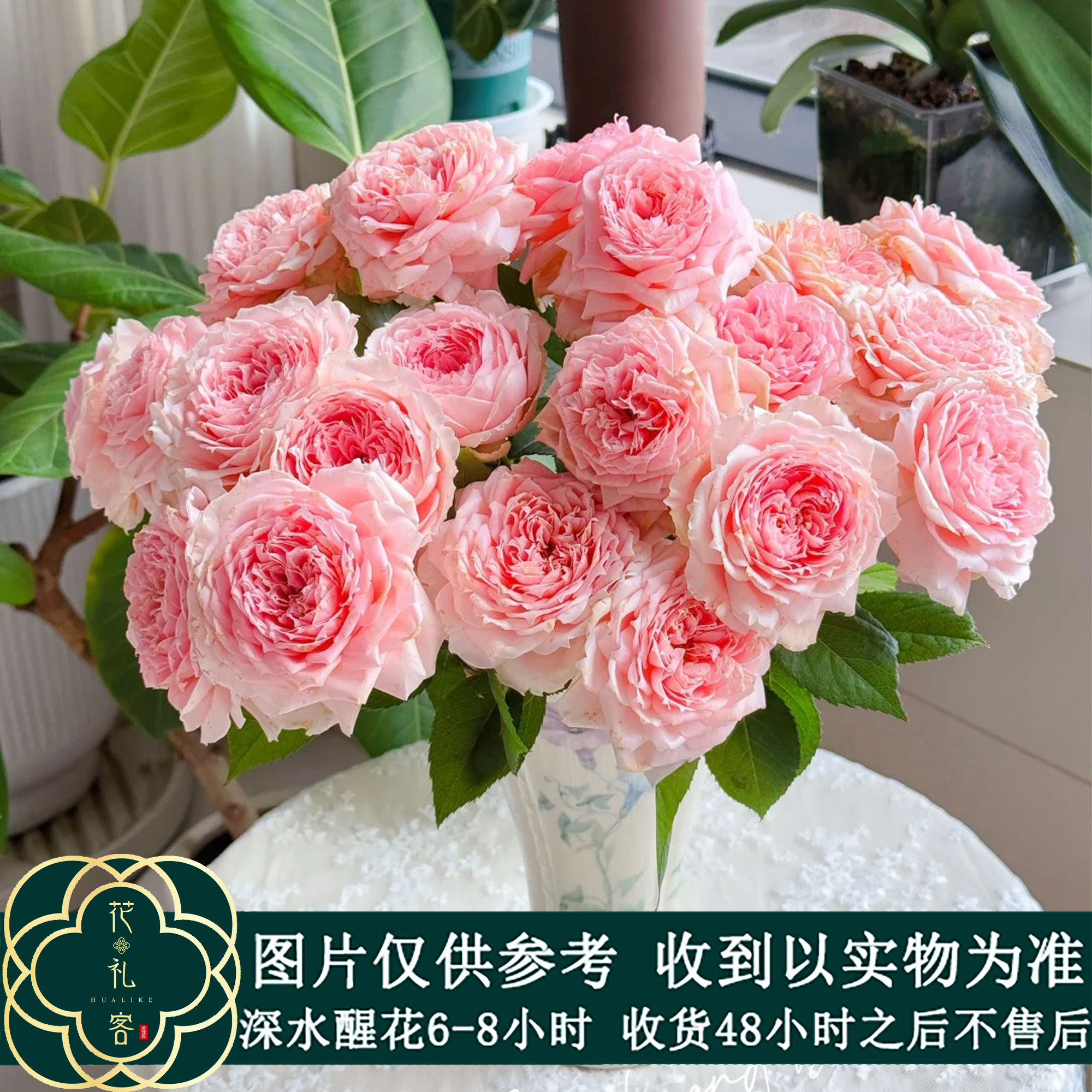 七叶花坊# 多头玫瑰【仁爱公主】鲜花优选 顺丰直发 