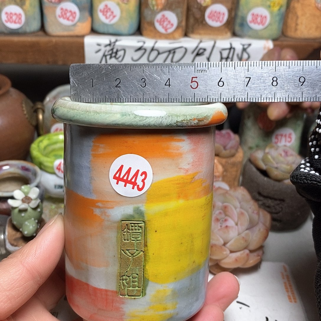 红陶拍5送一个小