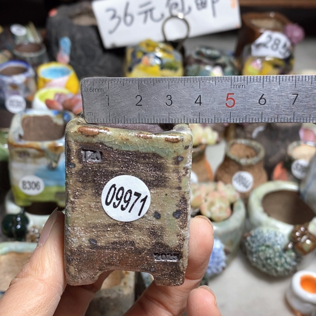 拍3送一个小礼物