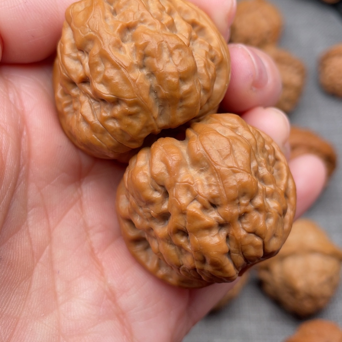 文玩核桃把件38肌肉奶油皮蛤蟆头