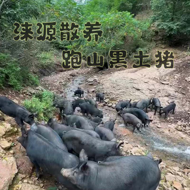 涞源黑猪肉猪腿肉顺丰包邮
