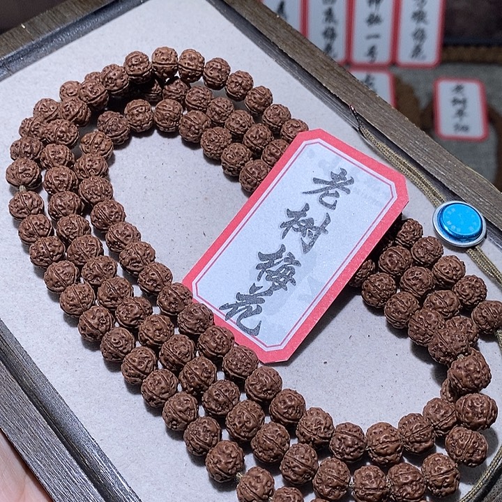 金刚菩提手串0711老树梅花