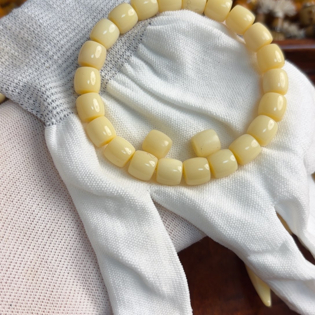 骆驼牙手串/手链骆驼牙