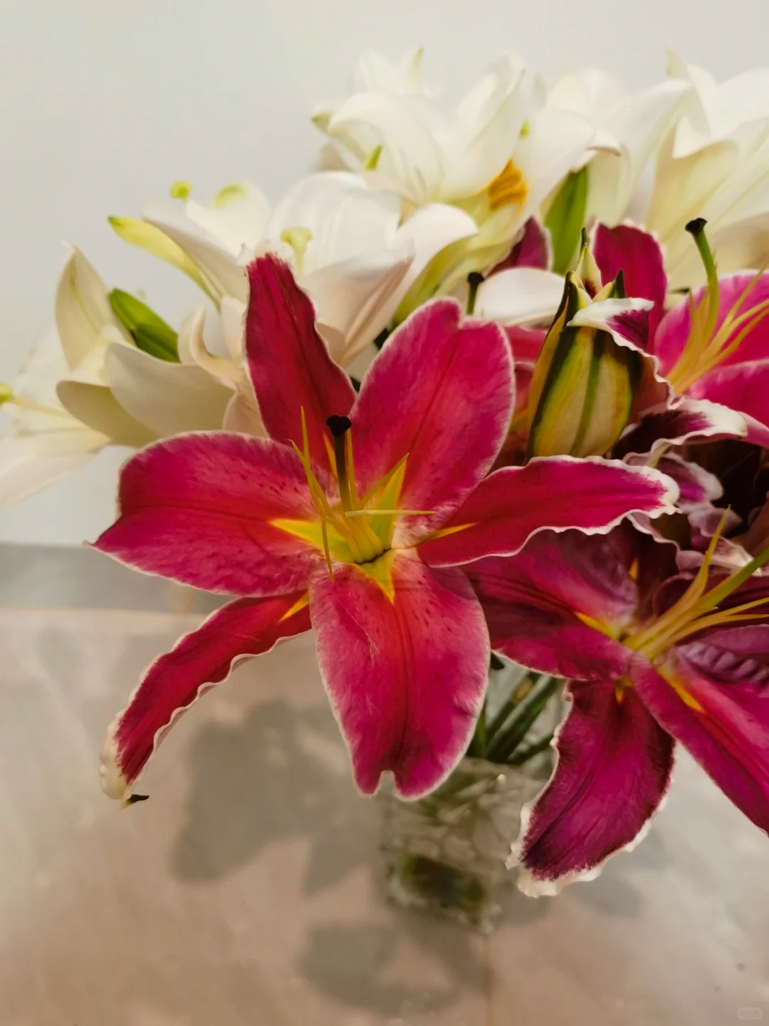 （曼曼）杂头印第安娜香水百合5支  鲜花任意2单包邮