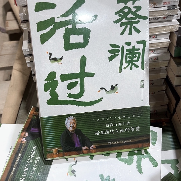 活过新书推荐平装