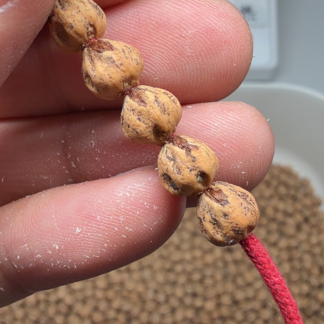 柏香籽/百香籽吊坠