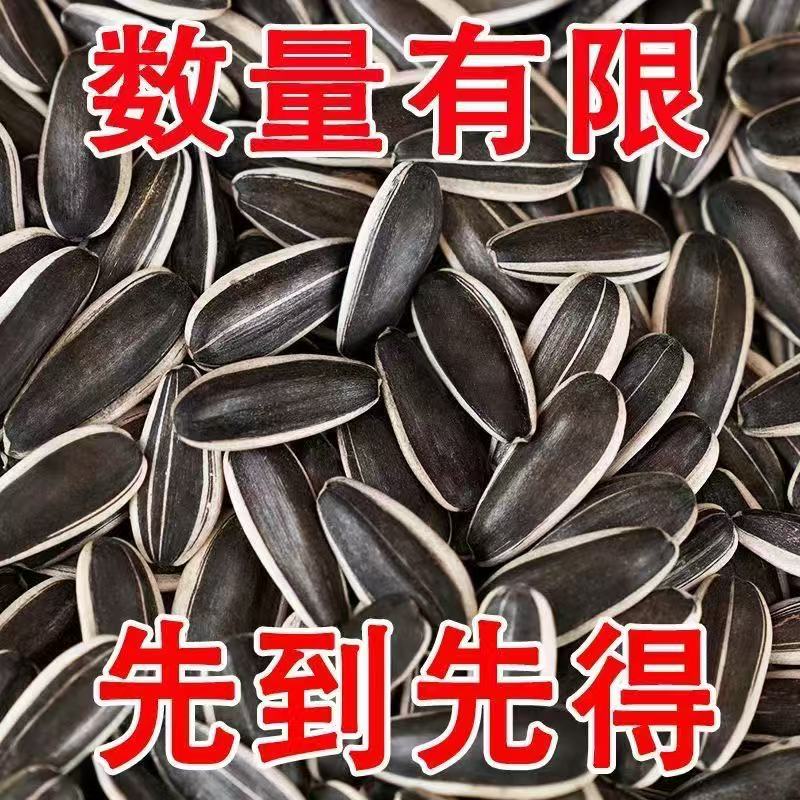 【10斤】原味炒熟大颗粒葵花瓜子新货休闲小零食