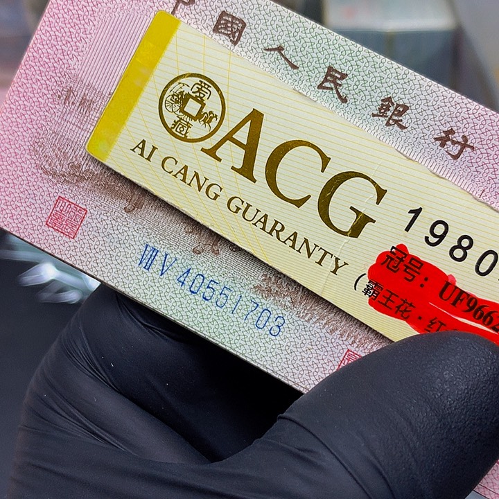 一张一张一张一张一张