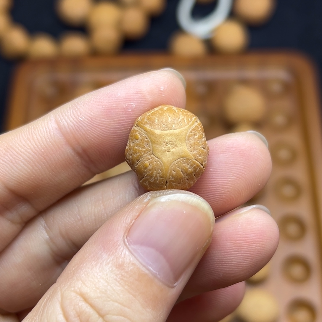 凤眼菩提手串17.3五星上将