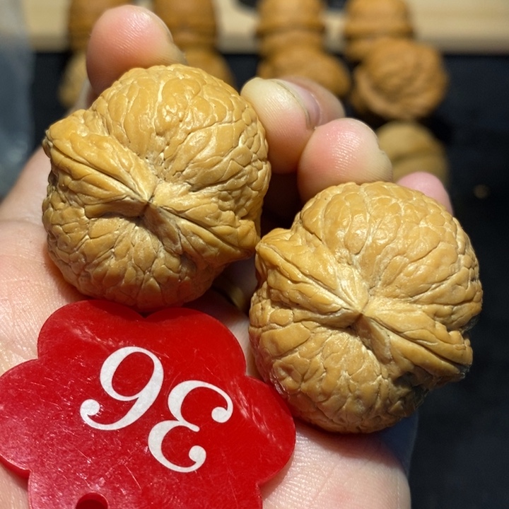 核桃大西瓜35核桃尺寸