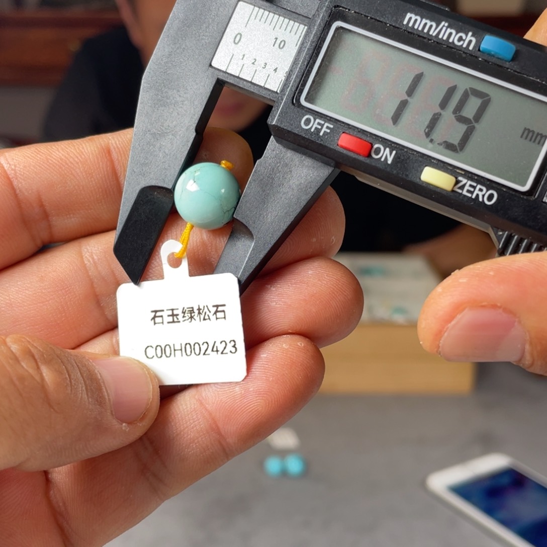 绿松石未镶嵌颈饰