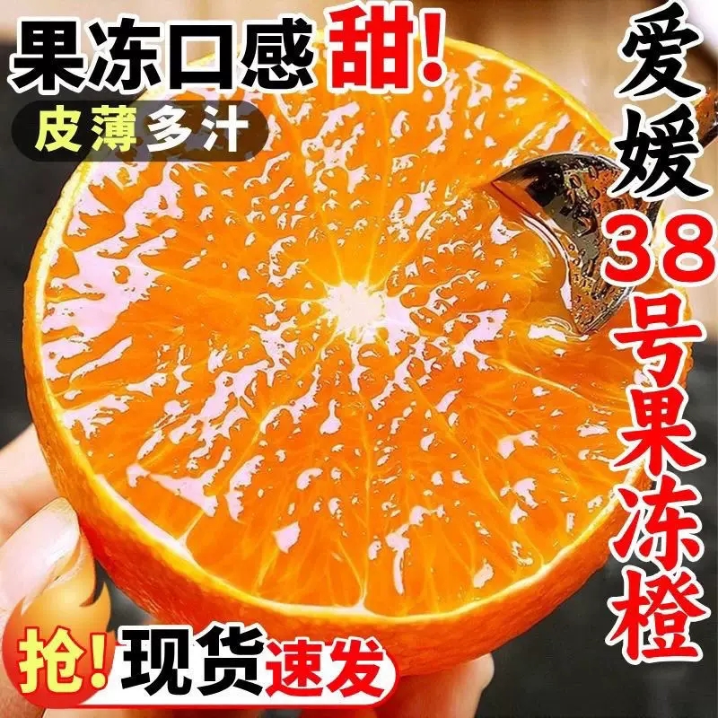 全新疆包邮爱媛果冻橙毛重5公斤9甜1酸果肉细腻好吃皮薄肉厚