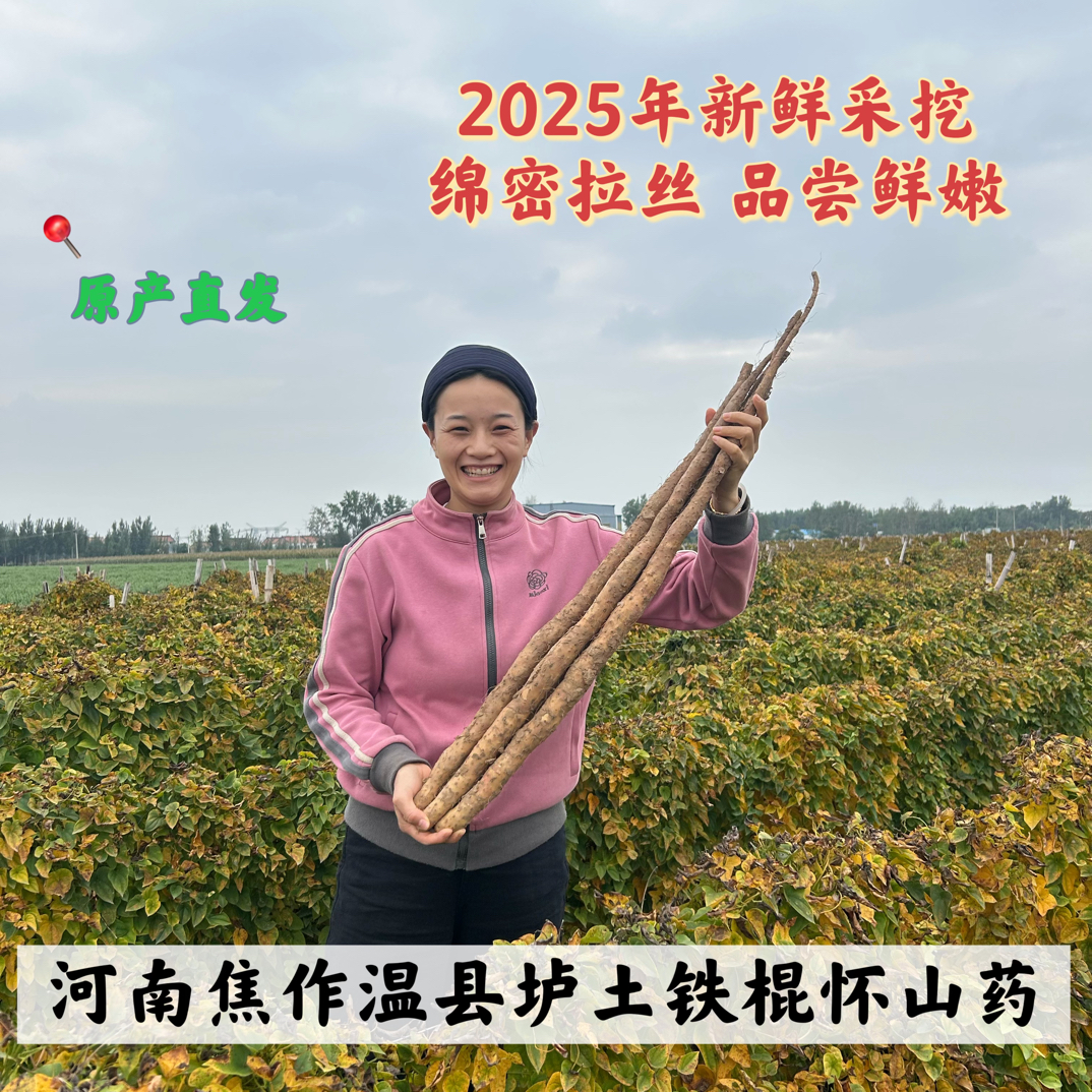 让你尝尝真正温县垆土铁棍怀山药新鲜现挖营养美味香甜粉糯