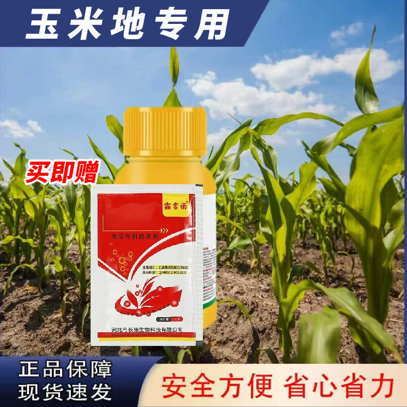 【买1瓶送1袋】玉米用苗后不伤苗大田玉米全田适用助剂玉米作物助剂商品图