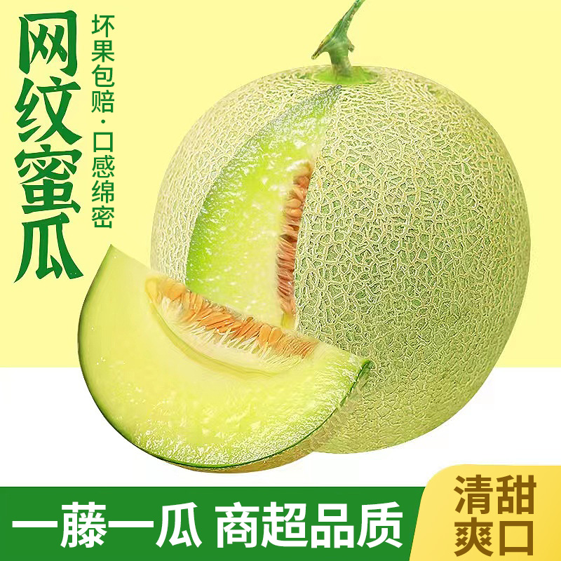 【地标甄选】内蒙正宗网纹蜜瓜新鲜现摘网纹蜜瓜当季软糯礼盒装内蒙古自治区