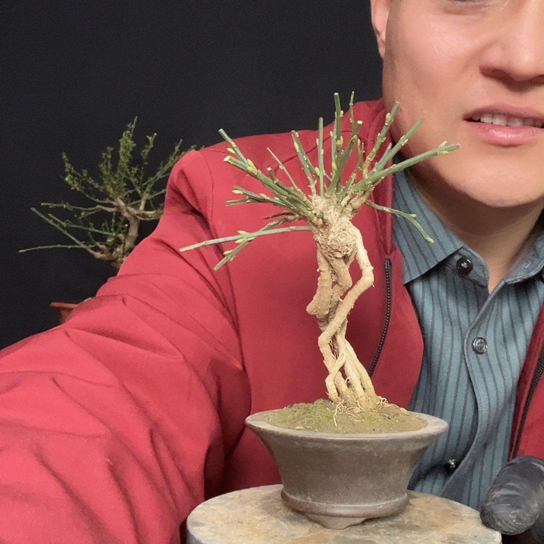 美****无花朵谢谢你的关心和支持