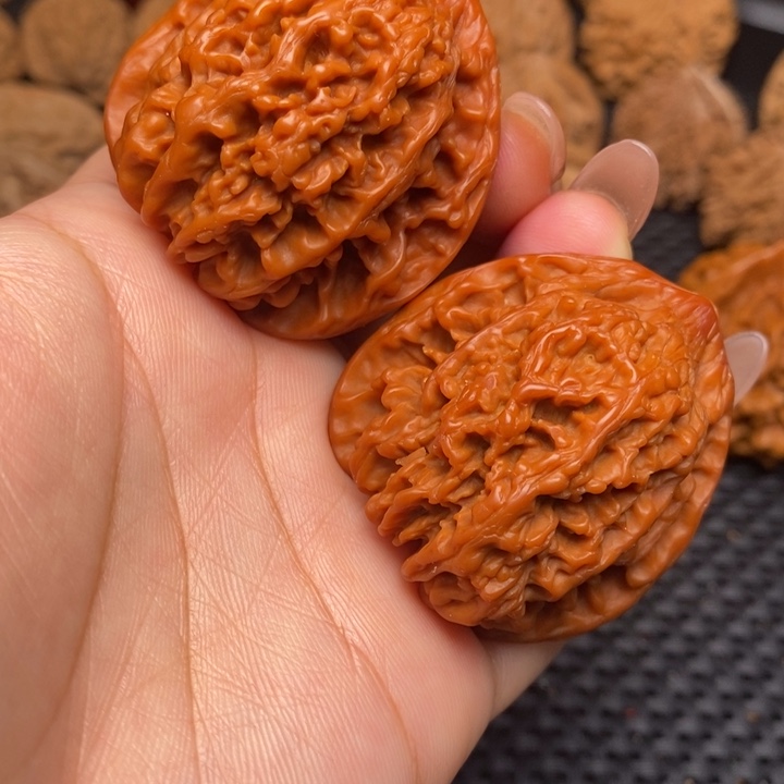 秦岭野生222222222