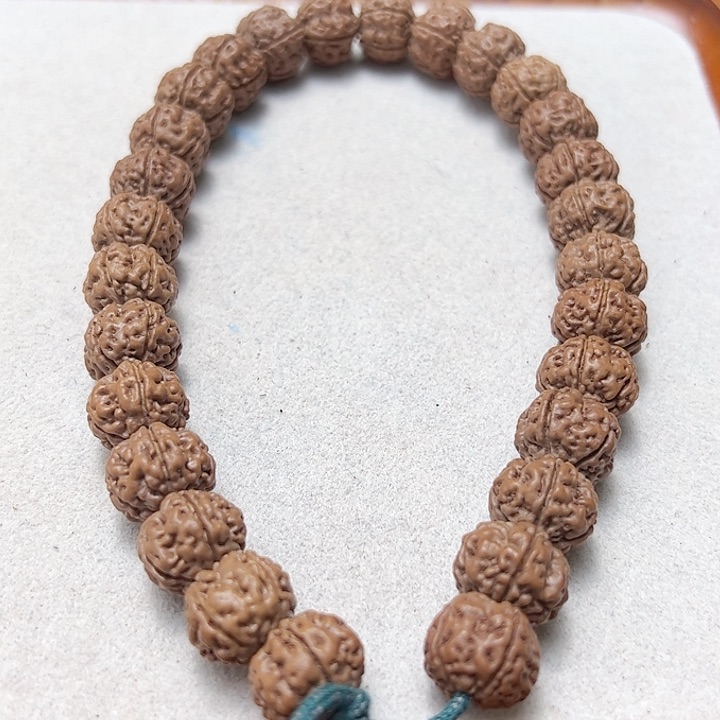 勿里达纯血老树王精品毕业级