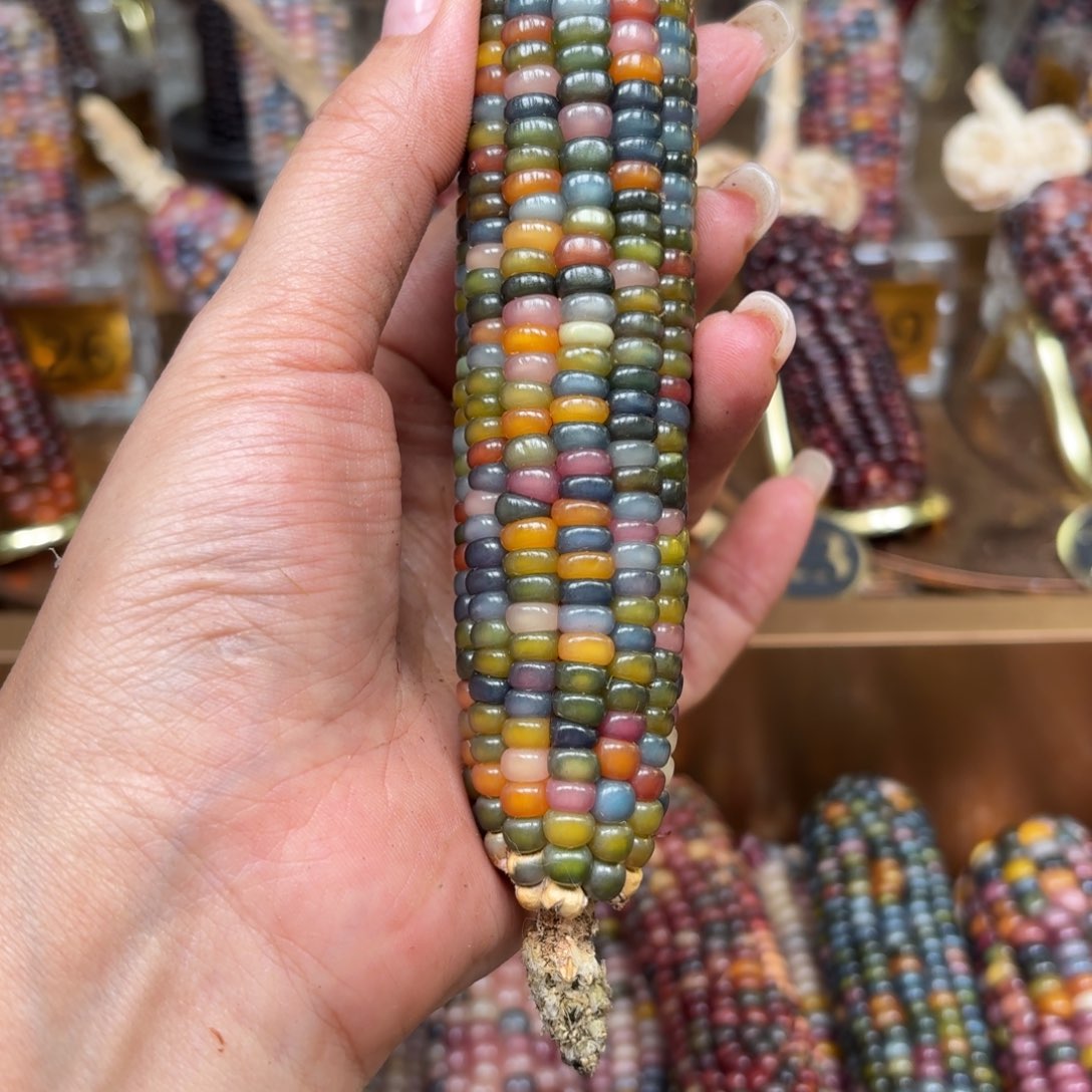 柏香籽/百香籽吊坠陆*