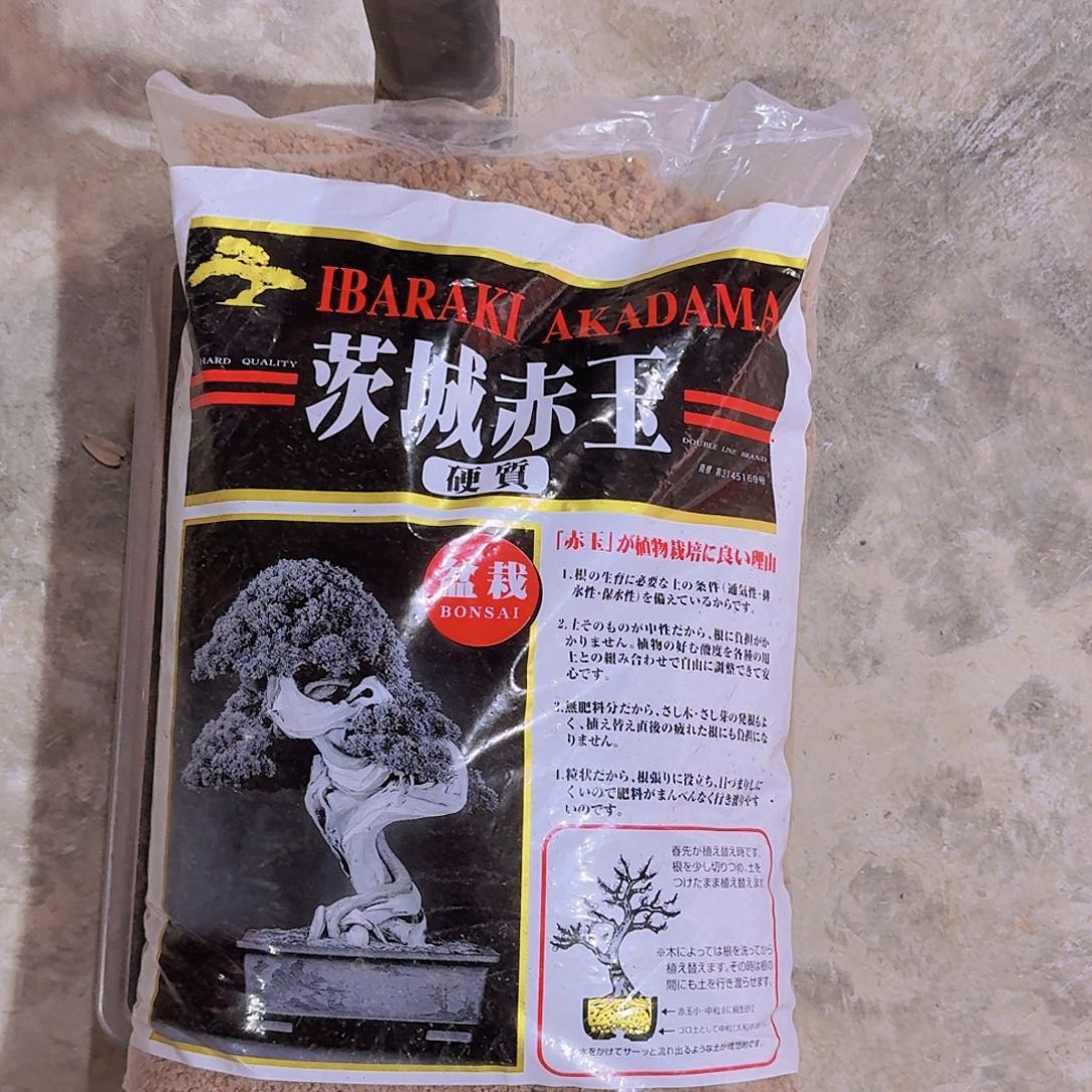 茨城3-6包邮（新疆 西藏青海只发一斤）