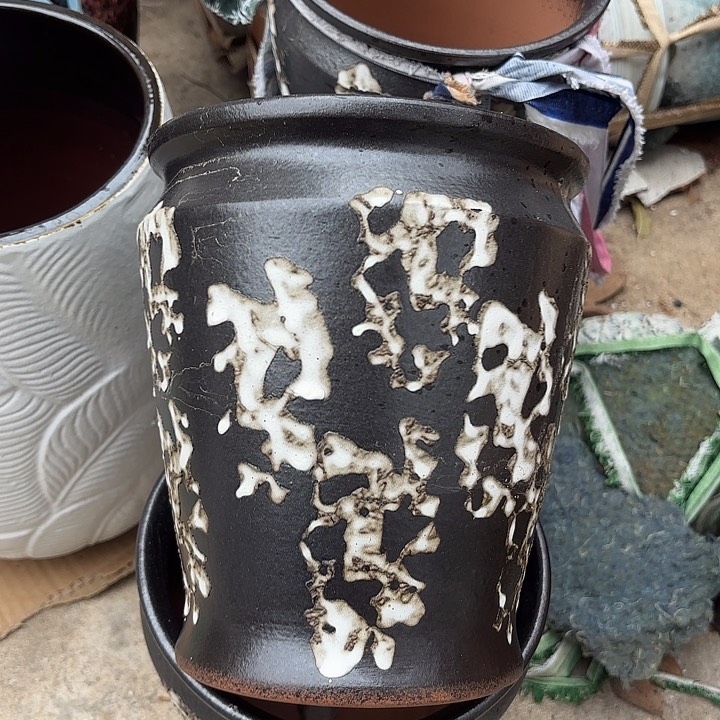 红陶口19高22两个黑鱼尾