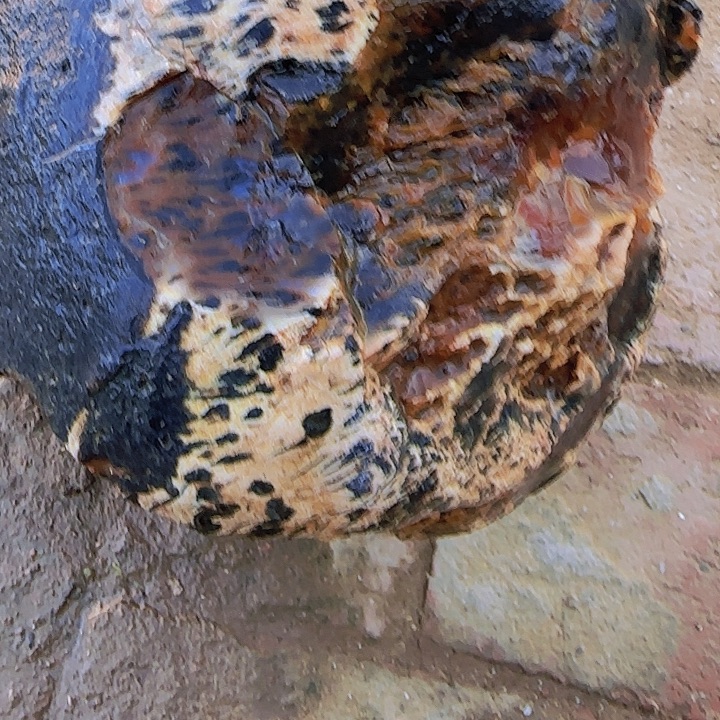 东***东定制玛瑙定制天然玛瑙手镯