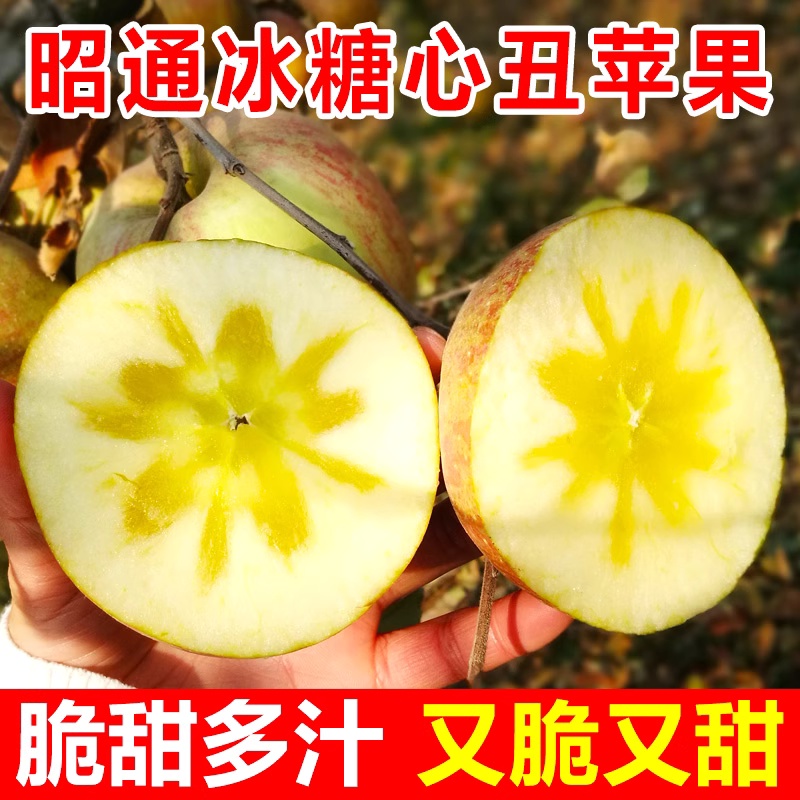 【冰糖心丑苹果正宗】2025鲜果云南昭通冰糖心丑苹果新鲜现摘