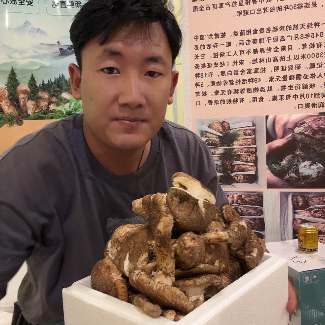 亚英村新鲜松茸高原特产