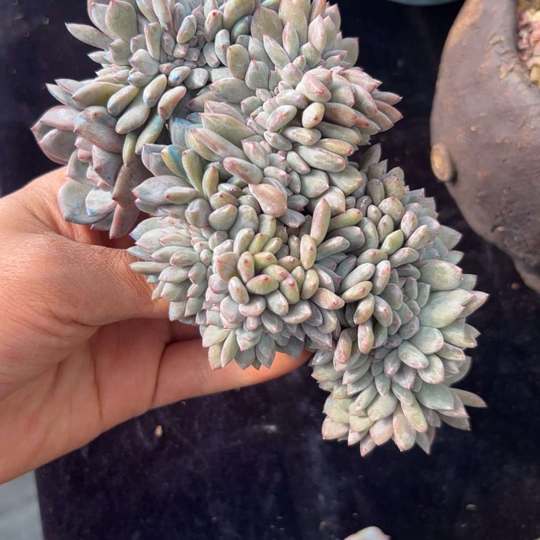 新年快乐 新年快乐