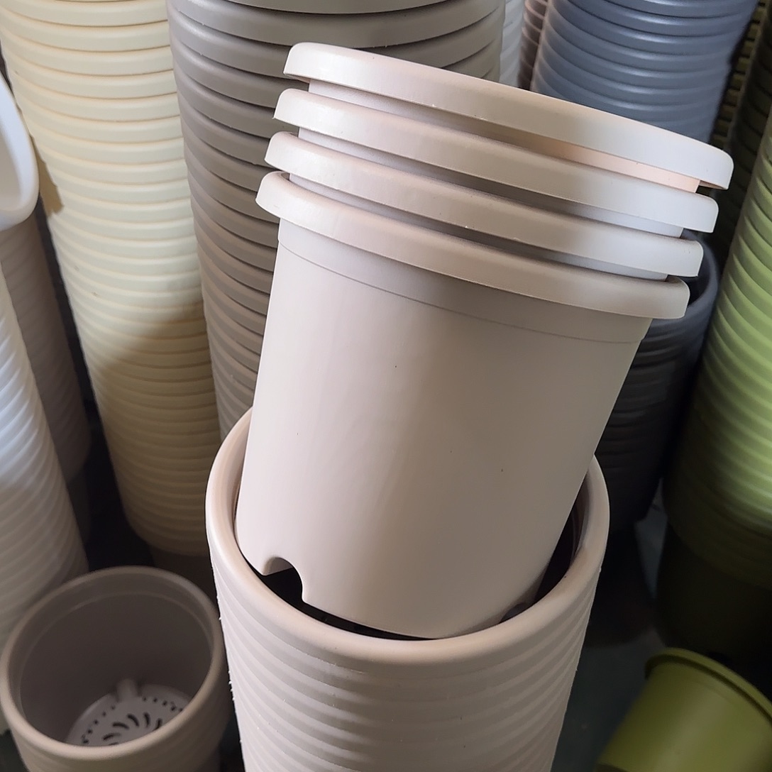 树脂四季4号无托8个灰白微瑕