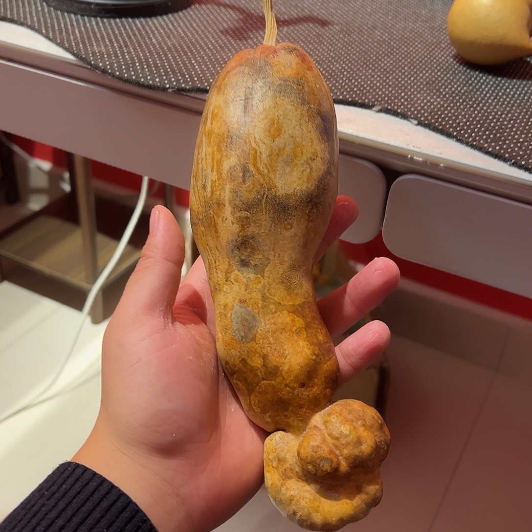 ****哈哈哈哈哈哈哈哈哈哈哈哈哈