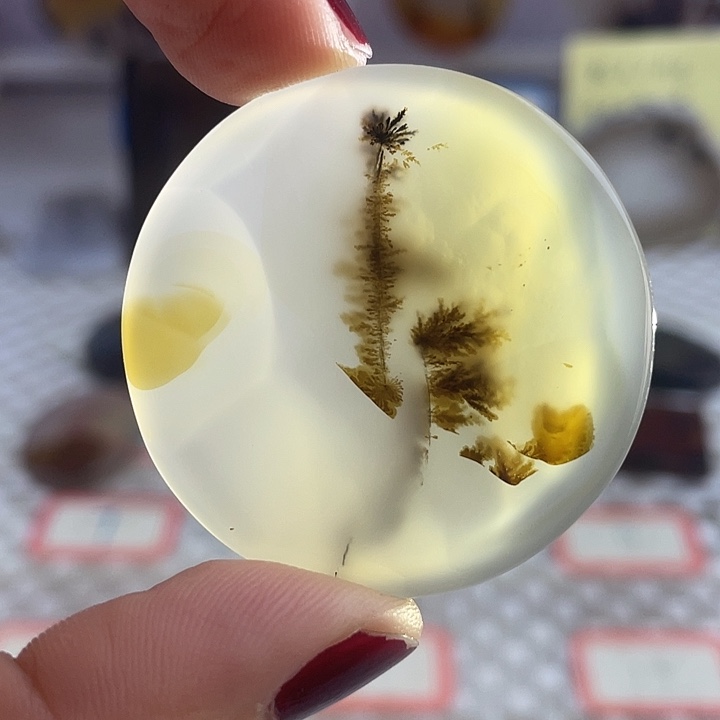 玛瑙/玉髓合金颈饰