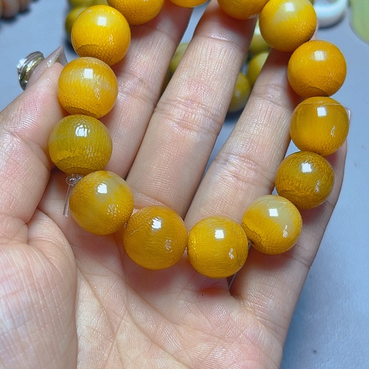 大果紫檀（缅甸花梨）