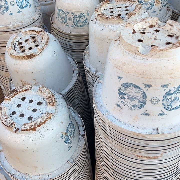 花开富贵口径24高16加厚福利8个