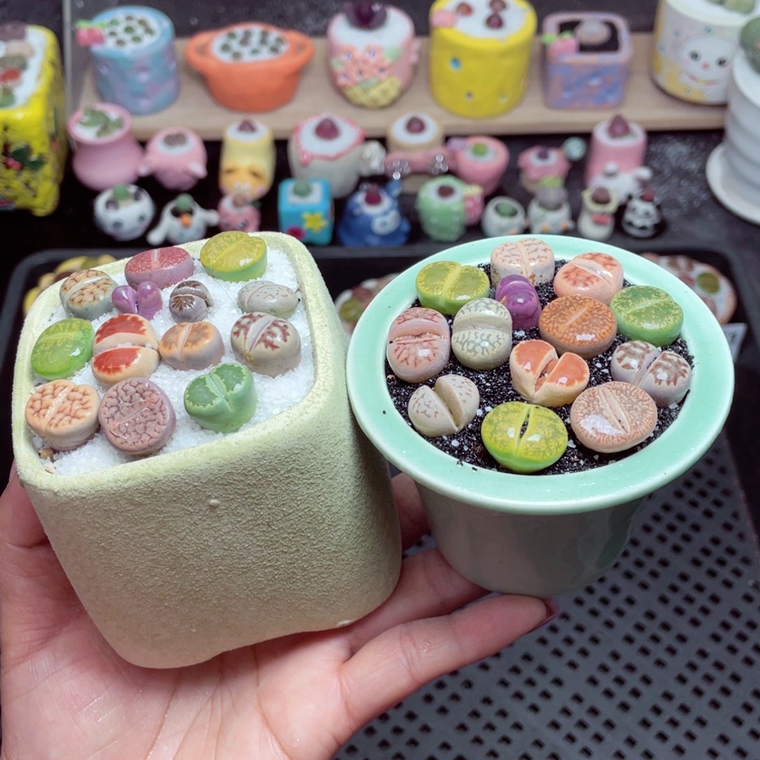 w9555 带盆土发货-零下地区拍保温箱