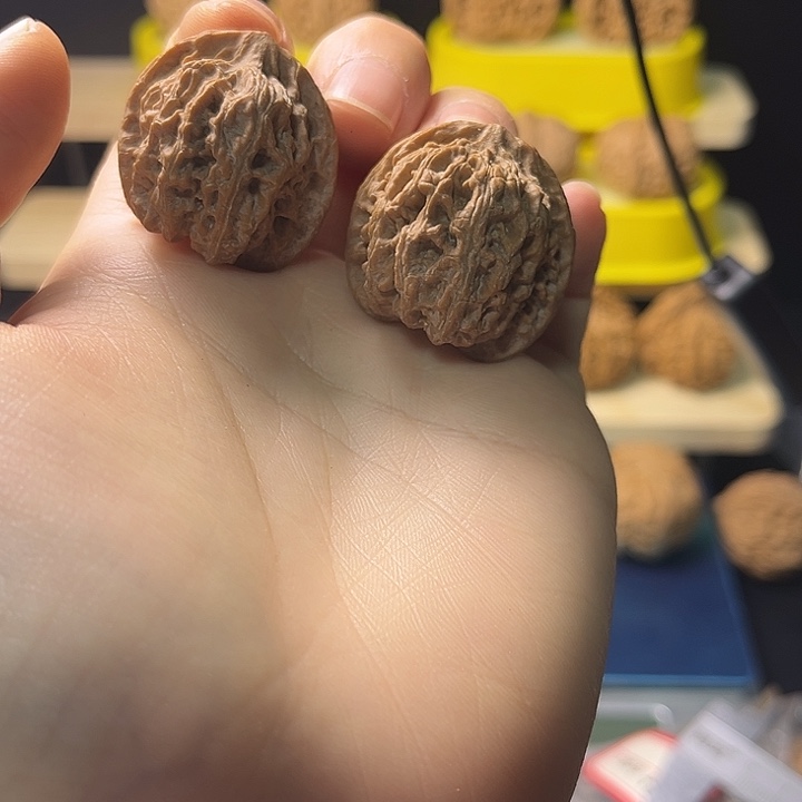 吊坠文玩核桃苹果园