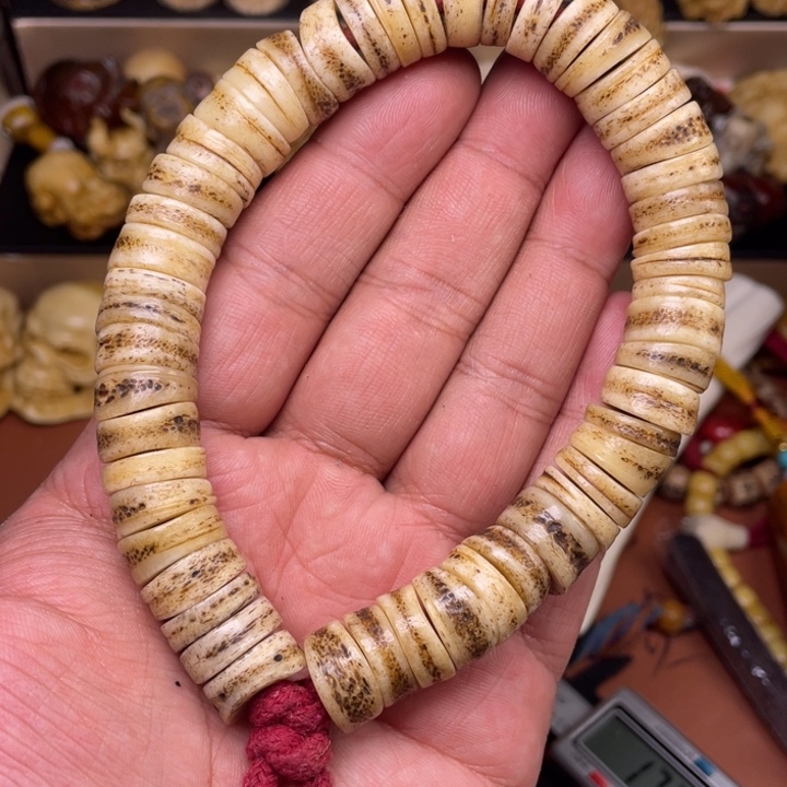 驼骨其他人工养殖