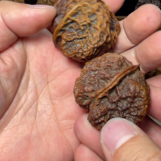 文玩核桃吊坠y苍山神鹰45