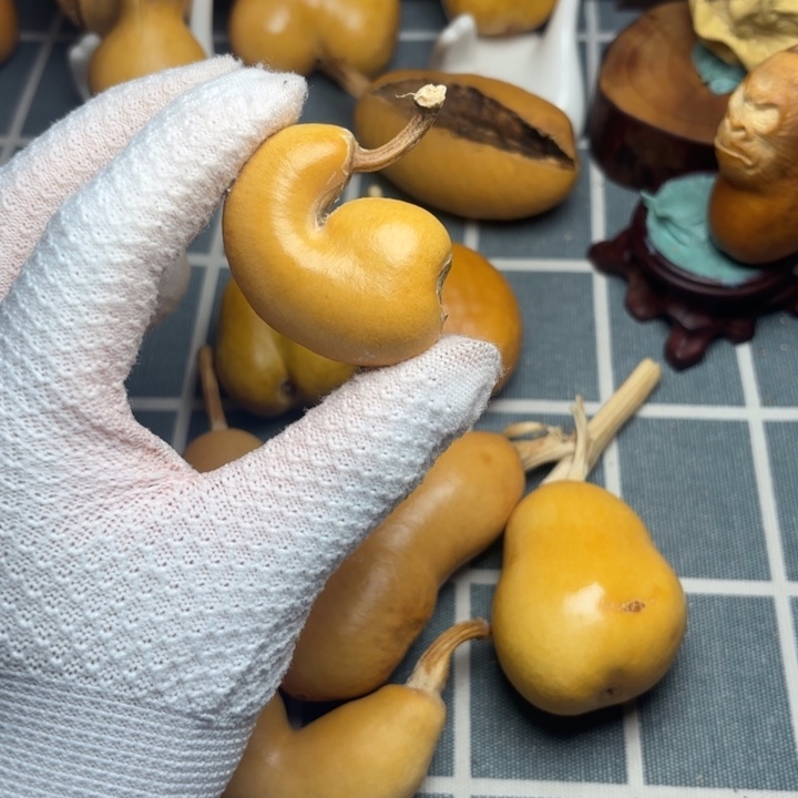 二***哥葫芦66666666666666