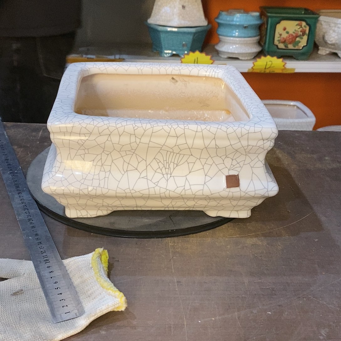 花盆花盆都被偷光了