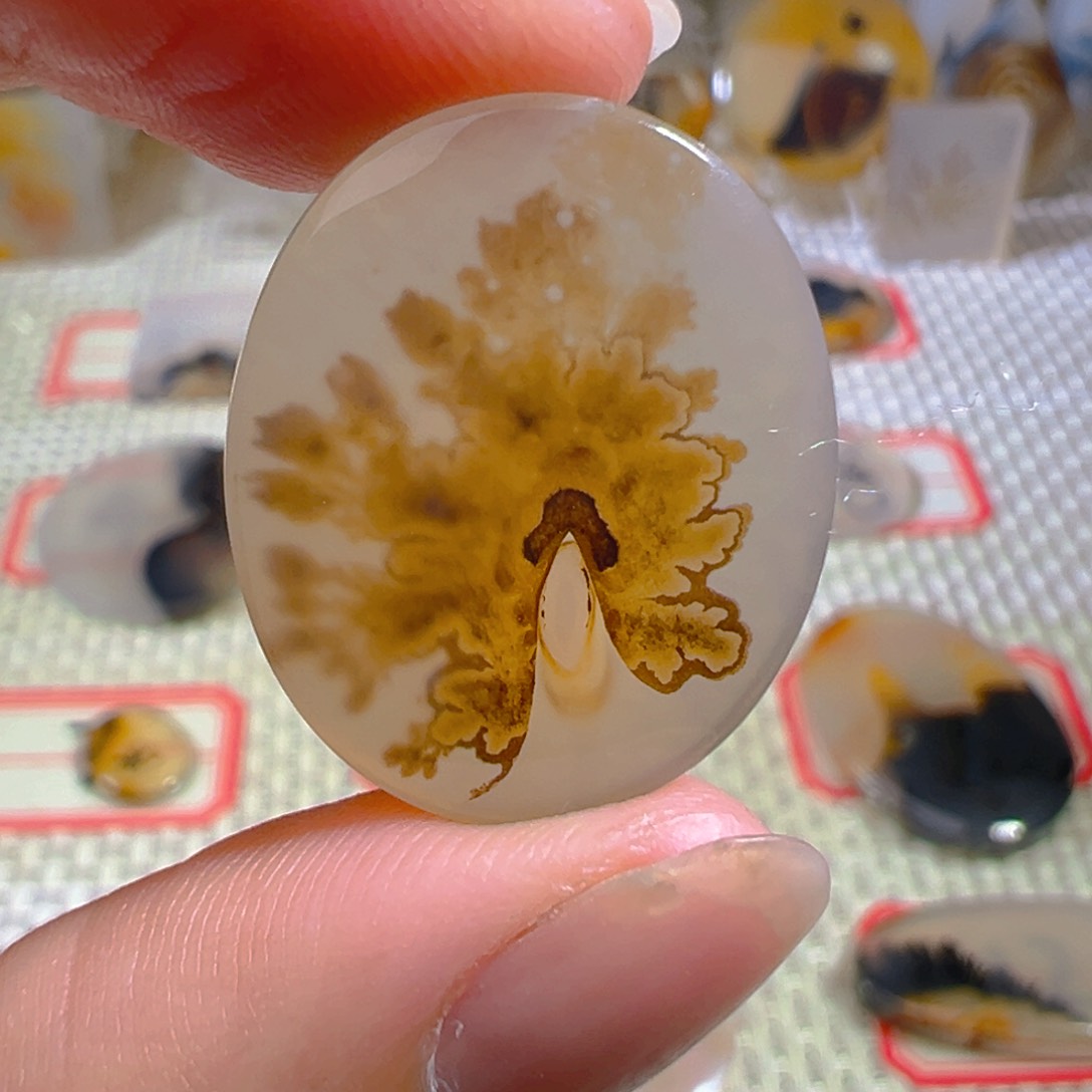 玛瑙/玉髓颈饰未镶嵌