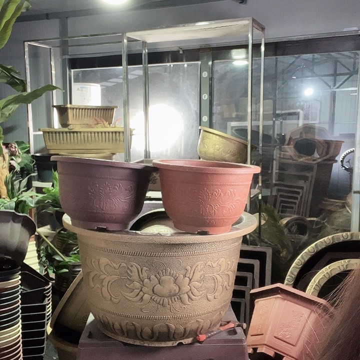 圆50十个圆60十个紫砂色