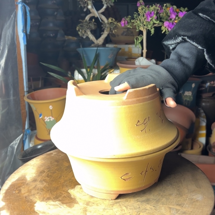 紫砂27+27黄色票口