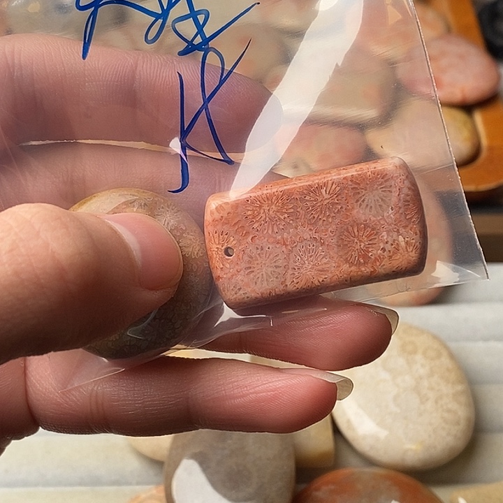 无***夜硅化珊瑚未镶嵌颈饰