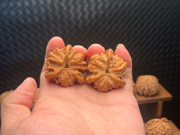 盘龙虎奔 文玩核桃