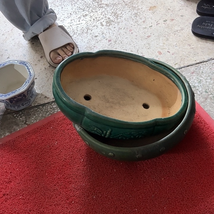 红陶E****兔。。。。。。。。。。。。。