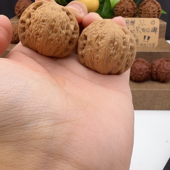 全品铁锤38/35/34